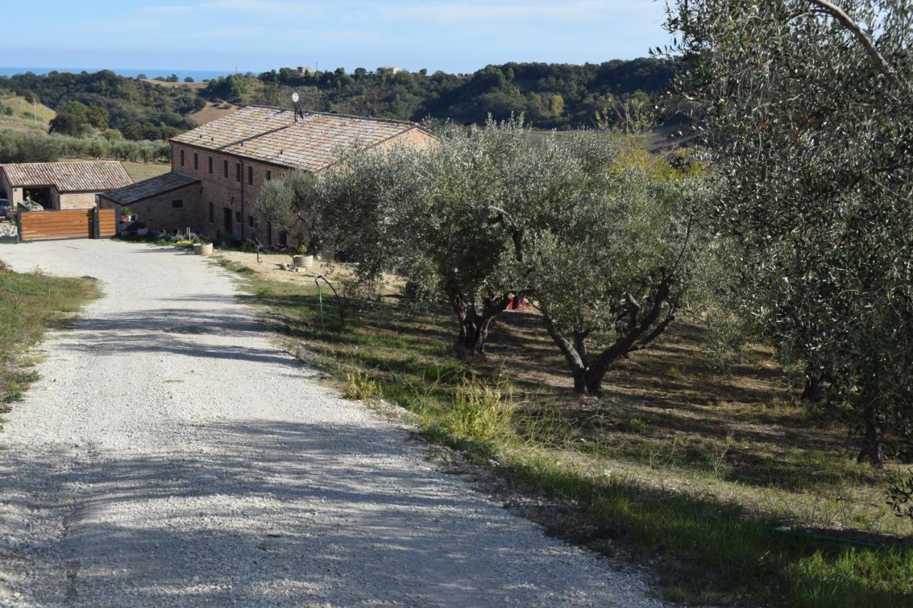 Monna Terra B&B Φέρμο Εξωτερικό φωτογραφία