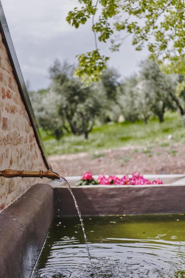 Monna Terra B&B Φέρμο Εξωτερικό φωτογραφία