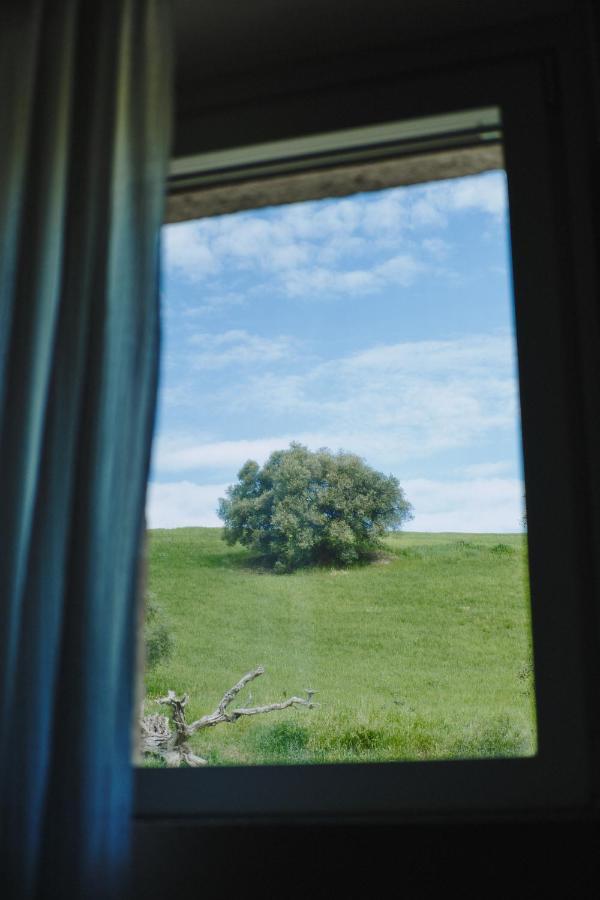 Monna Terra B&B Φέρμο Εξωτερικό φωτογραφία